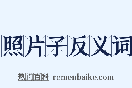 照片子反义词是什么意思的图片